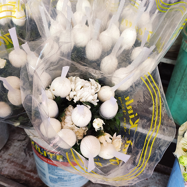 Hoa cúc lưới (trắng)